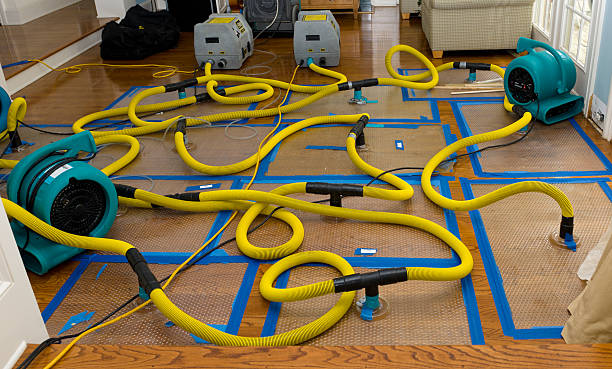 Professional Burst Pipe Water Damage technician working in Manchester, MI